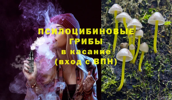 МДМА Новодвинск