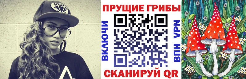сколько стоит  Пыталово  гидра ССЫЛКА  Галлюциногенные грибы ЛСД 